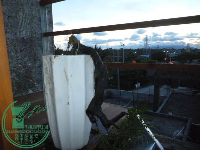 P1120125.JPG