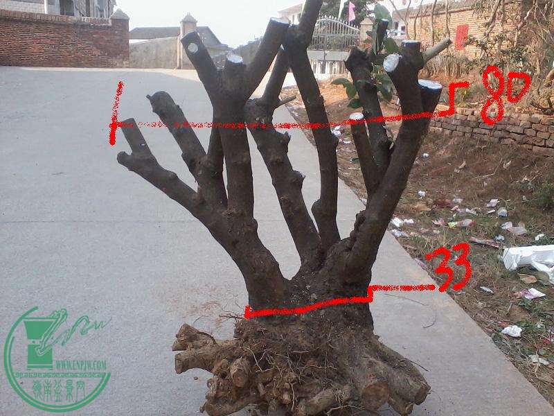 6.JPG