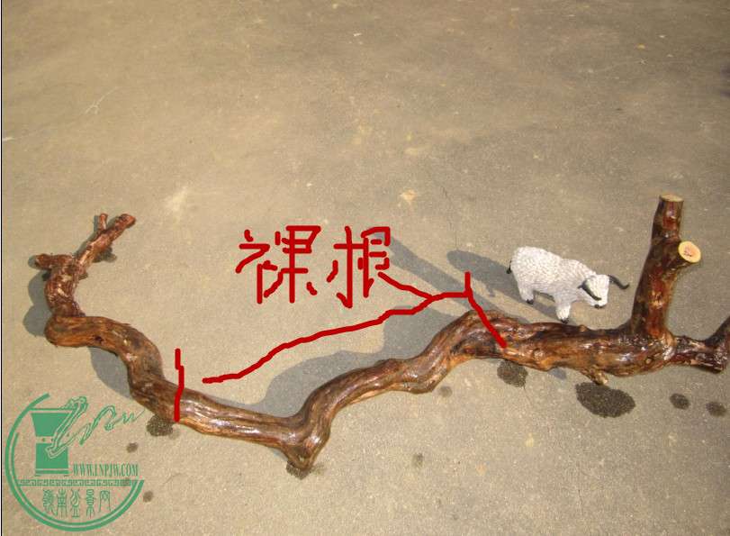QQͼƬ20141223163619.jpg
