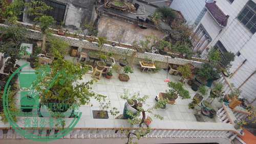 IMG_20141225_115718_СС.jpg