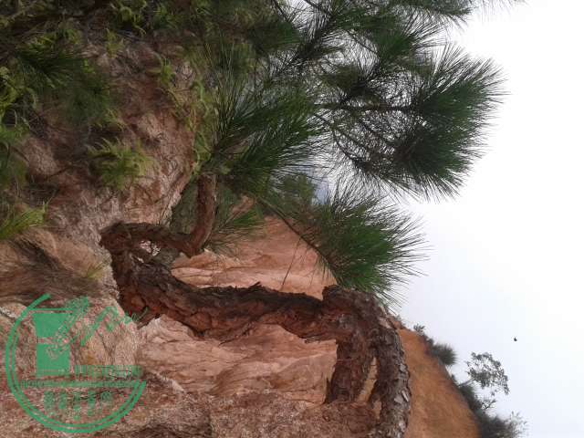 20141225_102932.jpg