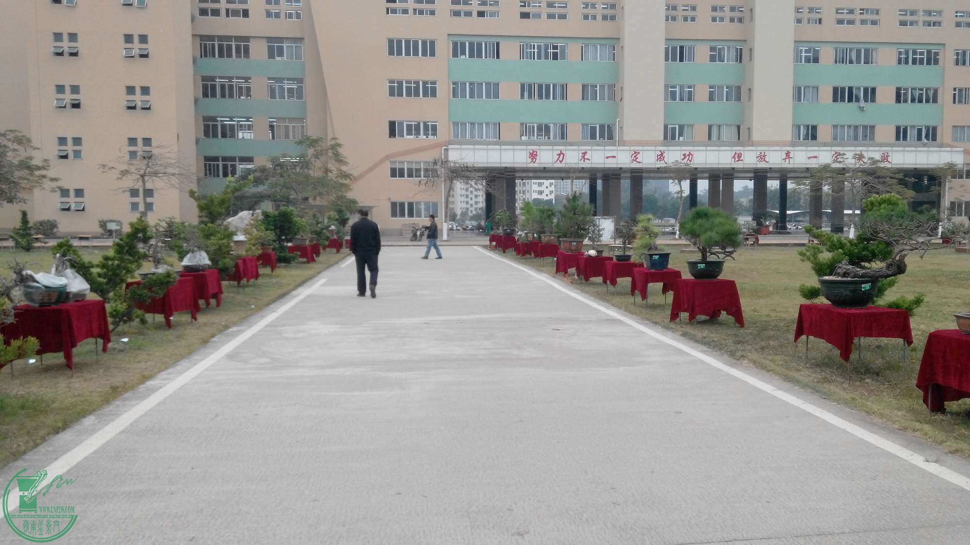 20141225155122.jpg