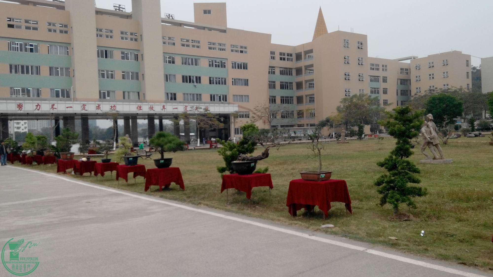 20141225155105.jpg