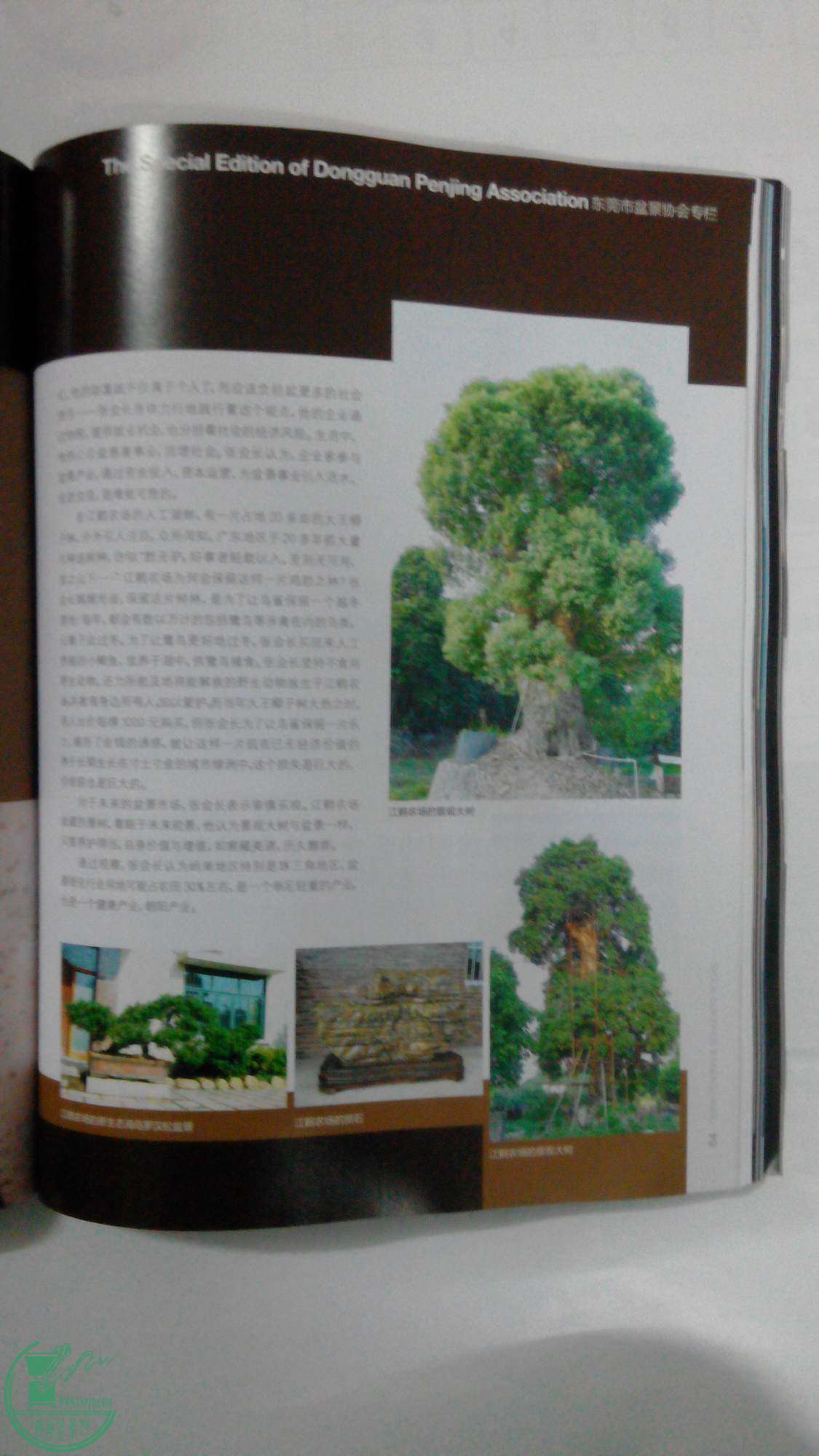 20141225211155.jpg