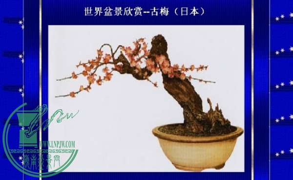 175110v31aagbb8p6wisgg.jpg.thumb.jpg