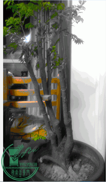 QQͼ20141226105508.gif