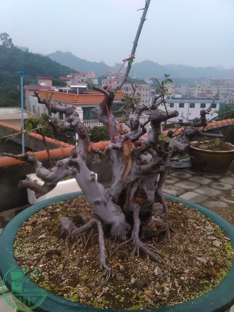 MM 011.jpg