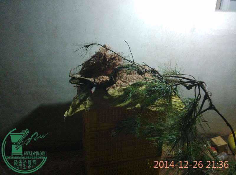IMG20141226213603_.jpg