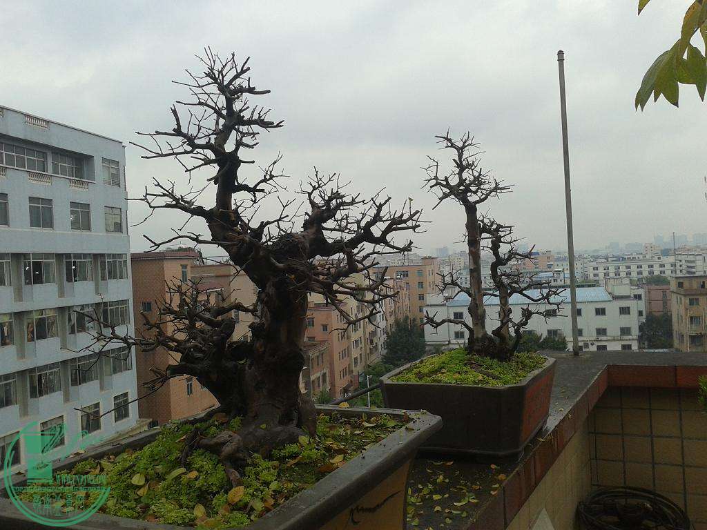 20141227_111103.JPG