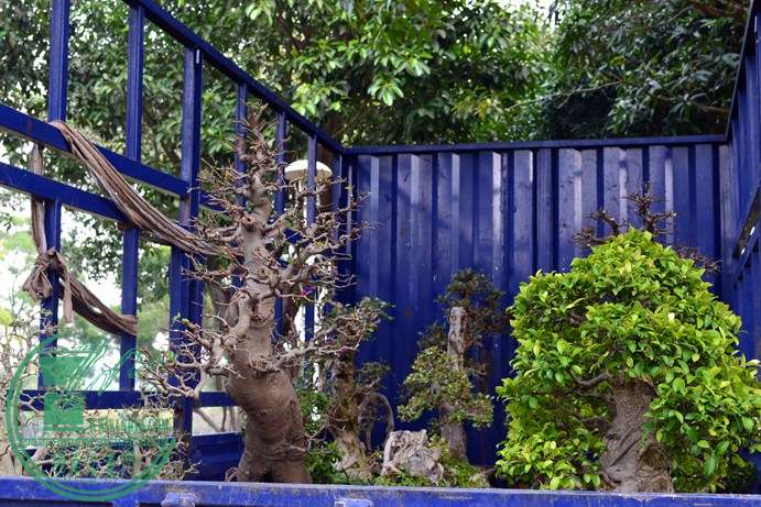 Ƭ 038.jpg
