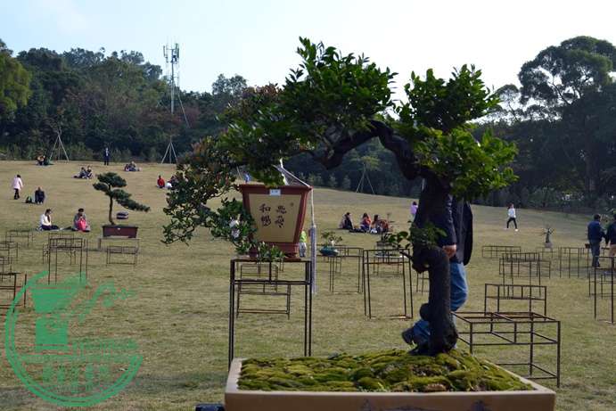 Ƭ 073.jpg