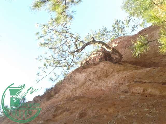 20141229_135707.jpg