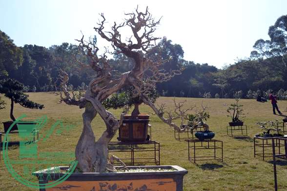 Ƭ 018.jpg