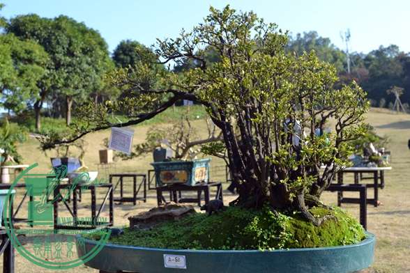 Ƭ 035.jpg