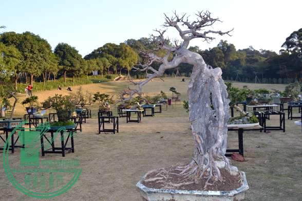 Ƭ 043.jpg