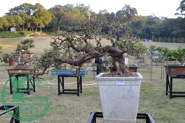 Ƭ 047.jpg