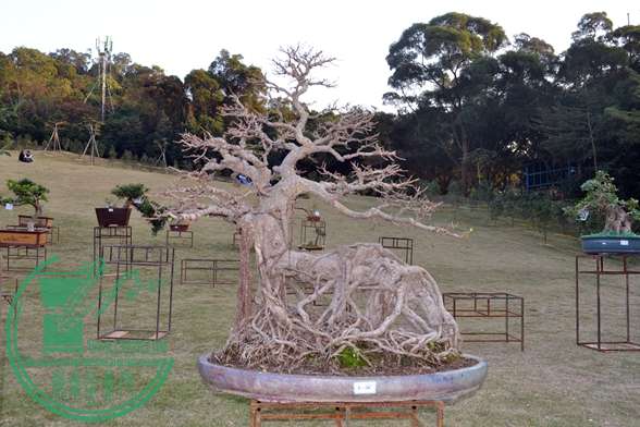 Ƭ 048.jpg