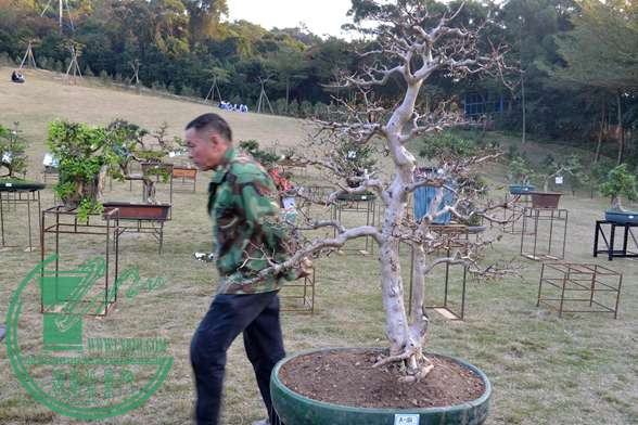 Ƭ 049.jpg
