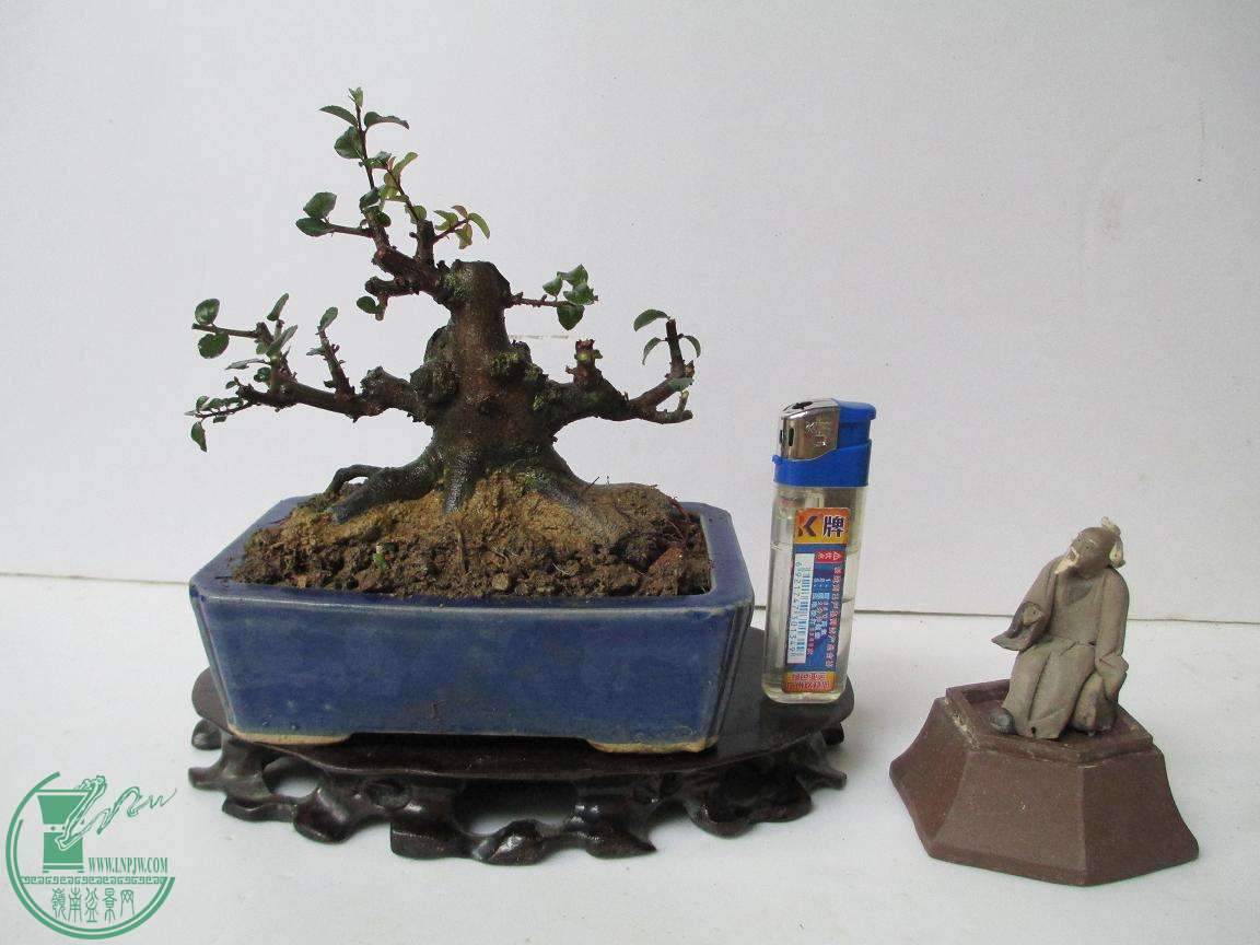 Ƭ 1023.jpg