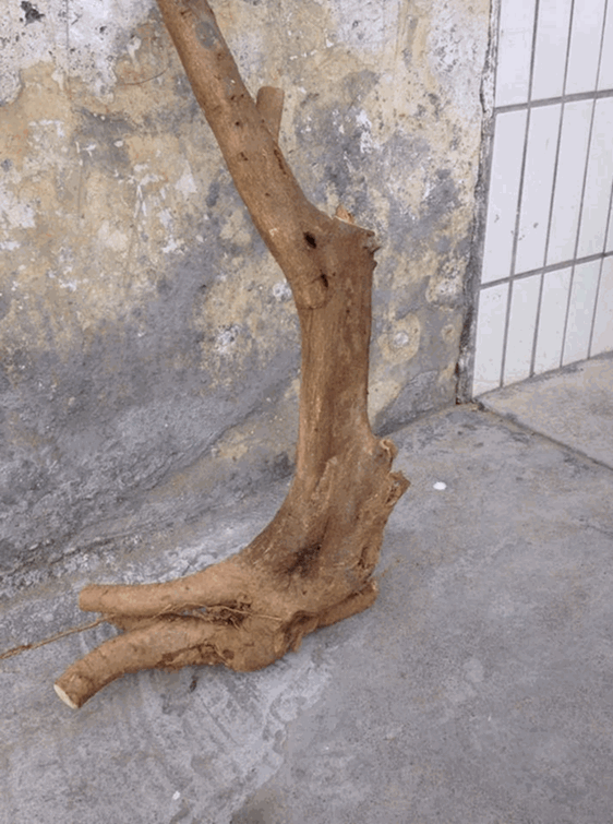 201045dwz255wo06p8qiox.jpg.thumb_.gif