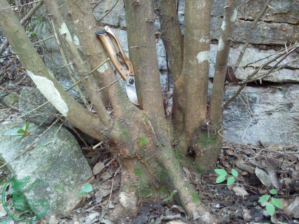 QQͼƬ20141230220824.jpg