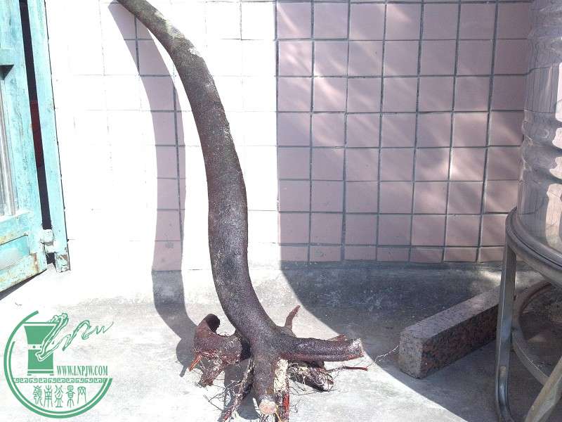 2014-12-30_10-37-52_401_www.moumu.com.jpg