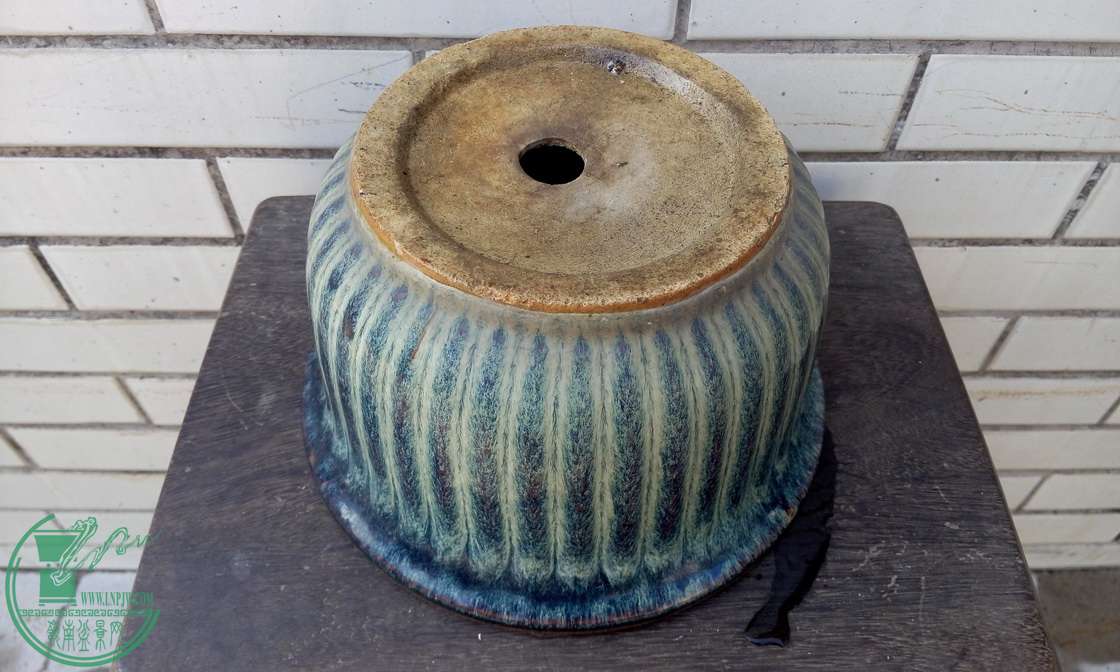 P41231-143524_С.jpg