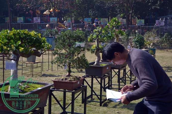 Ƭ 053.jpg