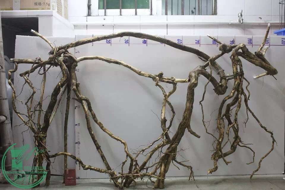 psb (10).jpg