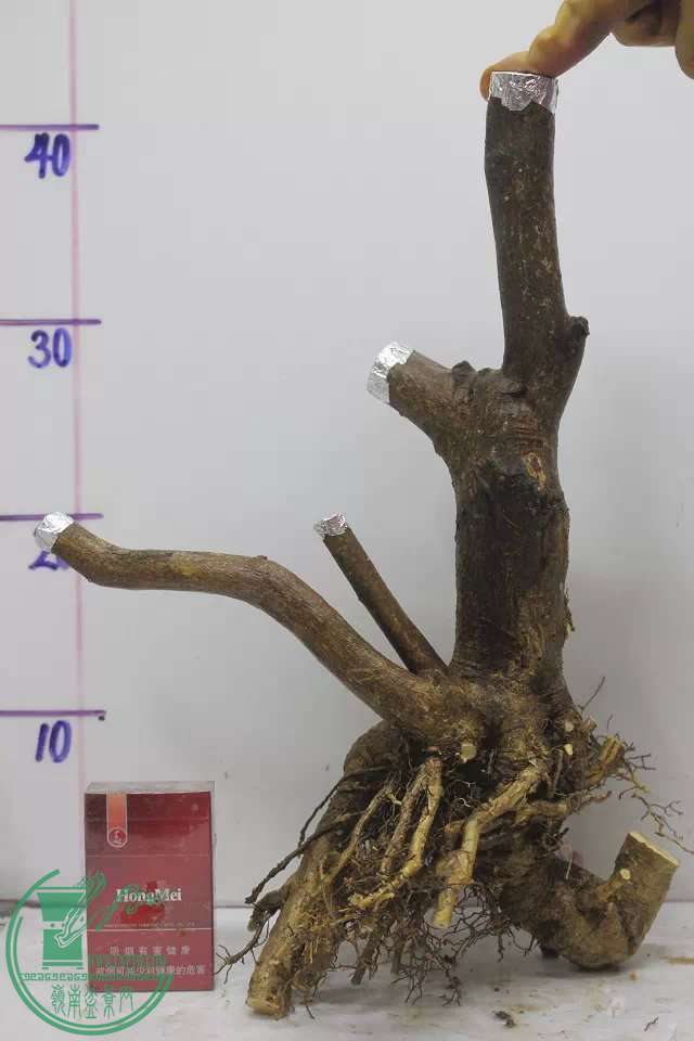 psb (8).jpg