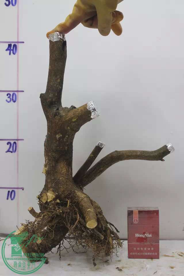 psb (9).jpg