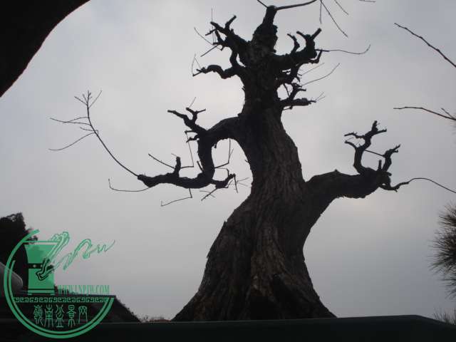 DSC01597.JPG