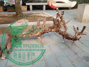 IMG_20150102_114126.jpg