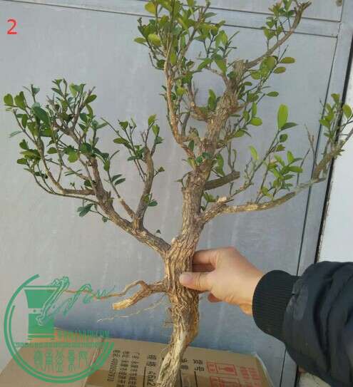 QQͼƬ20150103144546.jpg