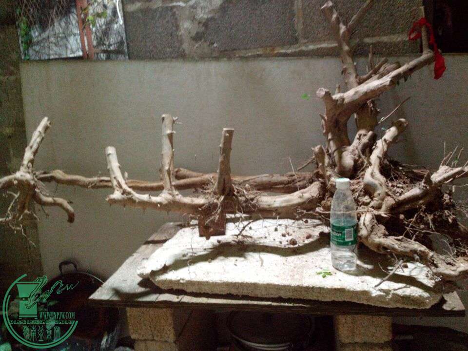 QQͼƬ20150103234232.jpg
