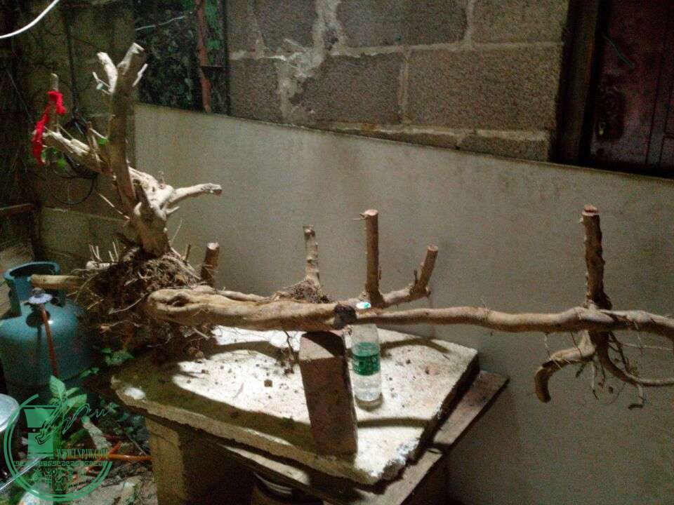 QQͼƬ20150103234256.jpg