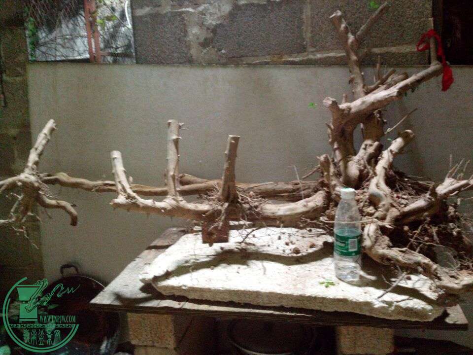 QQͼƬ20150103234321.jpg