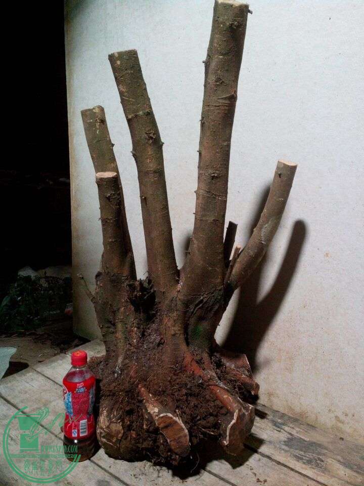 QQͼƬ20150103233954.jpg