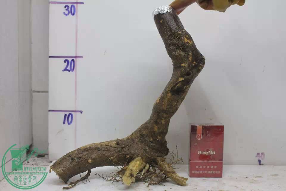 psb (10).jpg