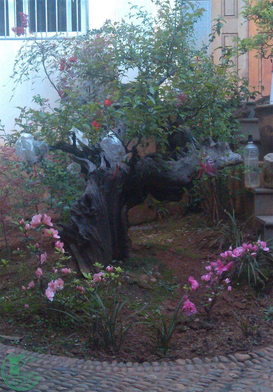 ÷׮61IMG_20140404_173305_2345ͼ.jpg