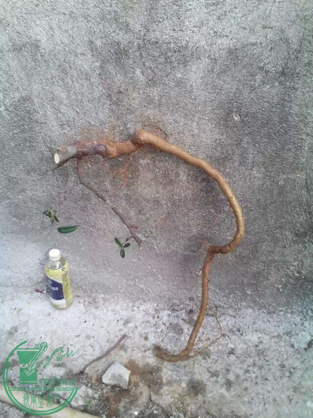 5130