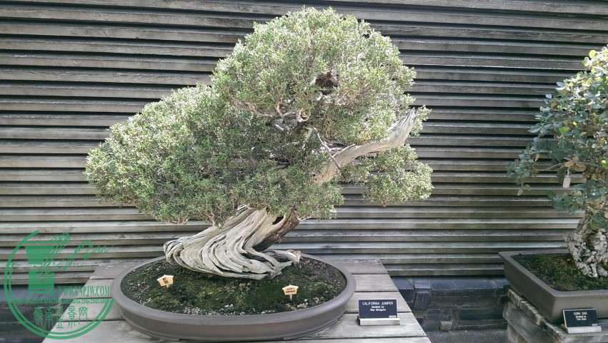 IMAG0635.jpg