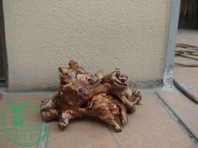 С DSC00148.JPG