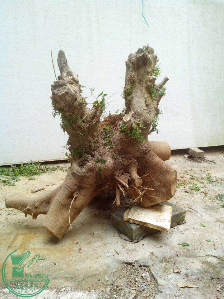QQͼƬ20150105192702.jpg
