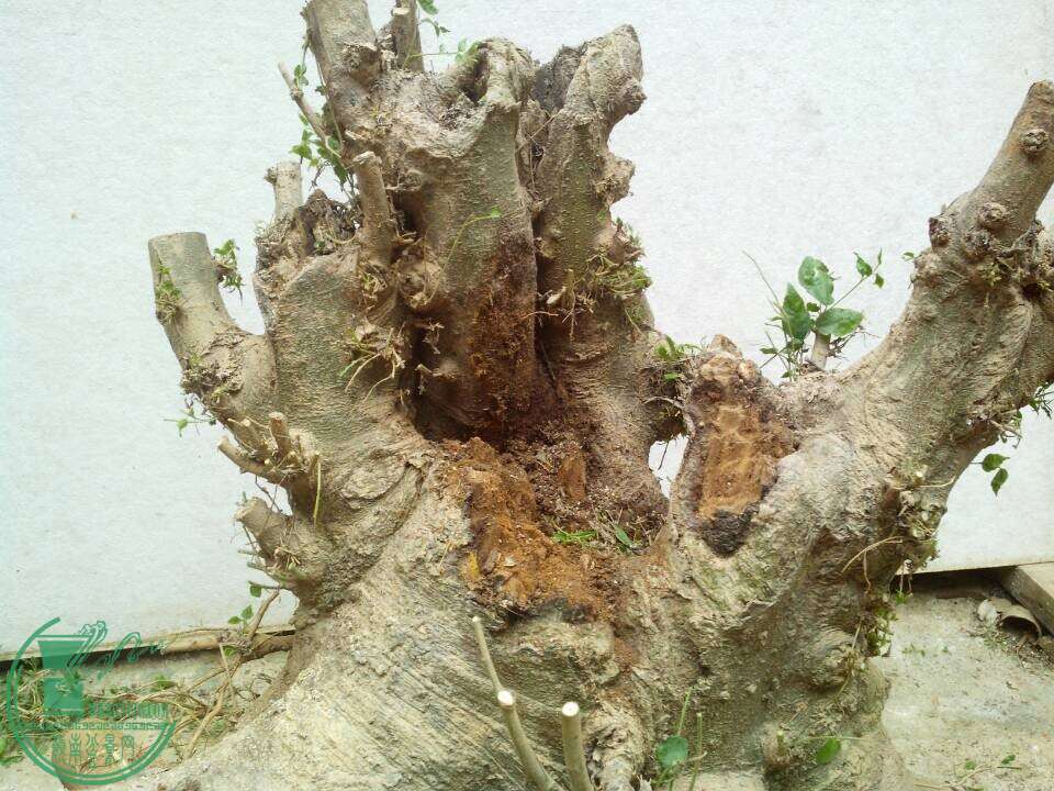 QQͼƬ20150105192650.jpg
