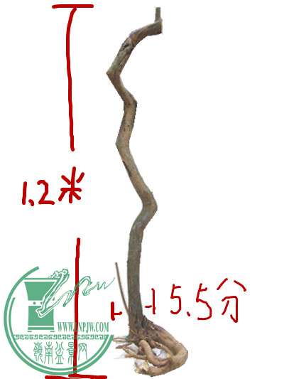 Ƭ 187_.jpg