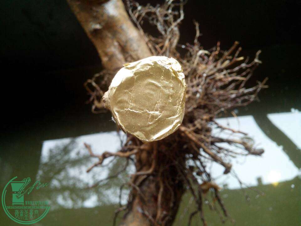 QQͼƬ20150105192811.jpg