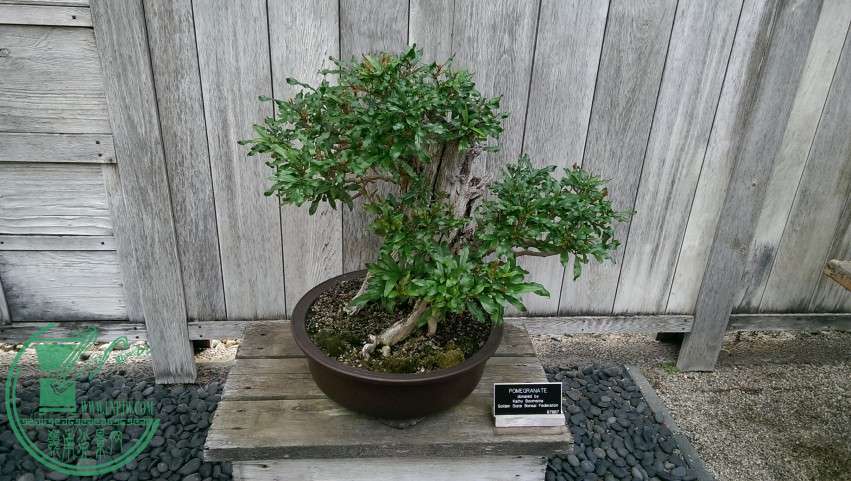 IMAG0652.jpg
