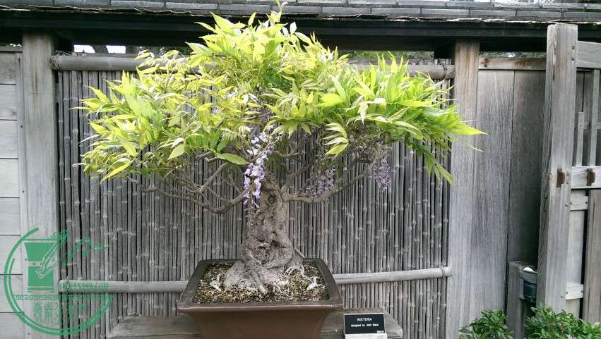 IMAG0655.jpg