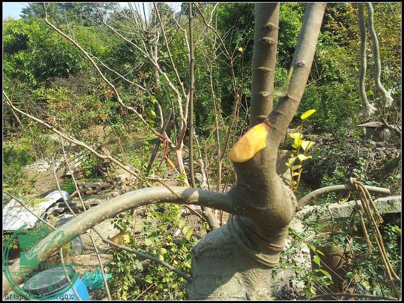 ˿ڴ1.jpg